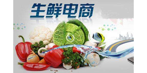 疫情促使移动互联网流量暴增，生鲜电商出现第二春（6）
