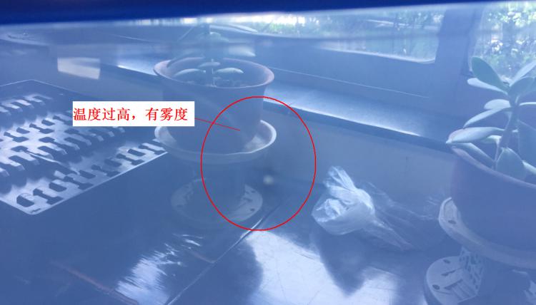 注塑制品质量缺陷分析（六）造成制品表面有雾度的主要原因是什么？